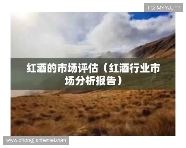 北京篮球队在钻石联赛中的心理素质分析与表现评估